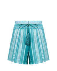 Aquamarine Embroidered Shorts