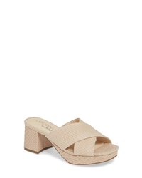 Coconuts by Matisse Cleo Slide Sandal