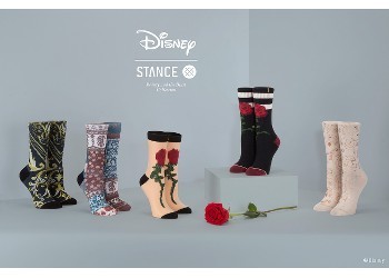 Disney BEAUTY AND THE BEAST BELLE  Knee High Socks 