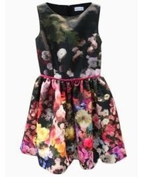 Choies Skater Dress In Floral Print