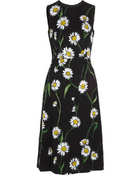 Dolce & Gabbana Daisy Print Brocade Midi Dress Black
