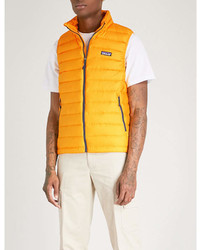Patagonia Padded Shell Down Gilet