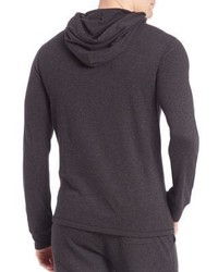 Polo Ralph Lauren Solid Hoodie Sweatshirt