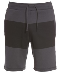 Nike Sb Everett Colorblock Shorts