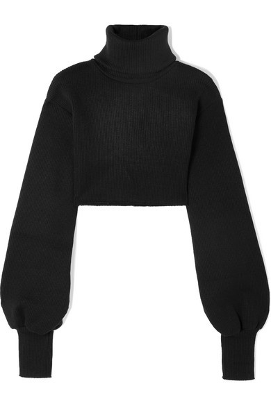 cropped turtleneck sweatshirt