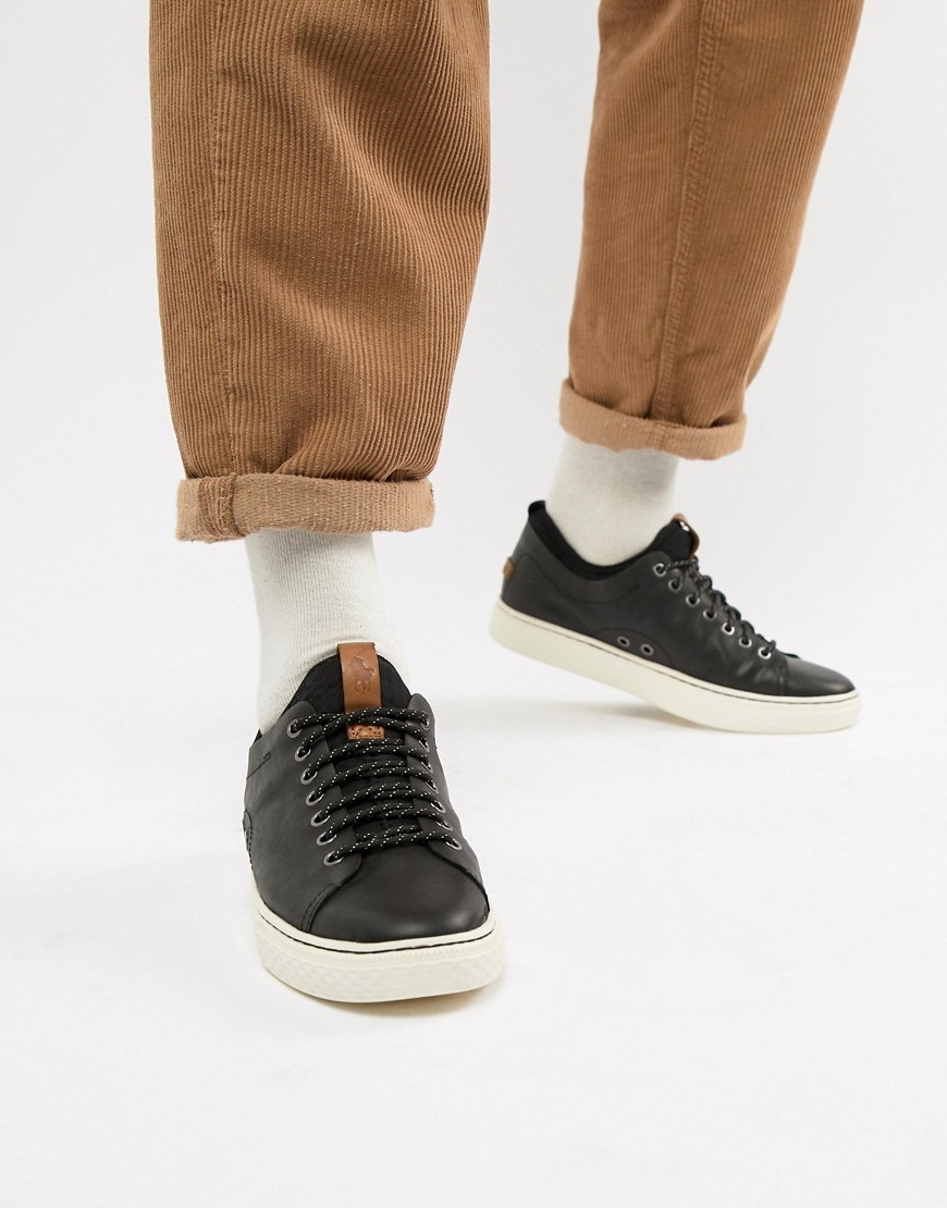 Polo Ralph Lauren Dunovin Sock Trainers In Black, $36 | Lookastic