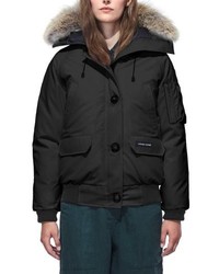 Canada Goose Chilliwack Hooded Down Bomber Jacket With Genuine Coyote