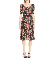 Dolce & Gabbana Dolcegabbana Rose Print Cady A Line Dress