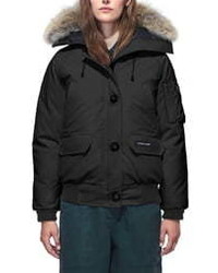 Canada Goose Chilliwack Fusion Fit 625 Fill Power Down Bomber Jacket With Genuine Coyote