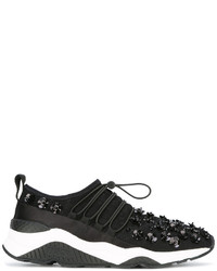 Ash Miss Lace Sneakers