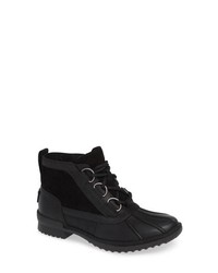 UGG Heather Waterproof Lace Up Bootie