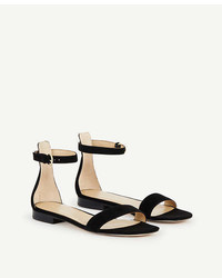 Ann Taylor Brinley Suede Flat Sandals