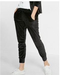 Express One Eleven Velour Jogger Pant