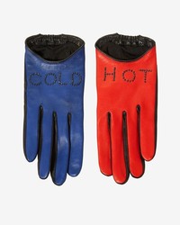 Agnelle Hot Cold Leather Gloves