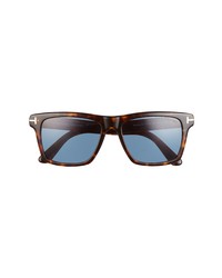 Tom Ford 56mm Square Sunglasses In Havanablue At Nordstrom