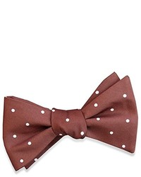 Brown Bow-tie