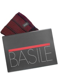 Basile Striped Knit Fringed Long Scarf