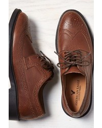 American Eagle Outfitters Dark Brown Perforated Leather Wingtip Oxford