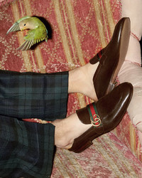 Gucci Donnie Web Leather Loafer