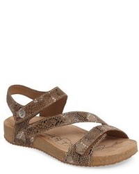 Josef Seibel Tonga Leather Sandal