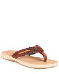 Sperry Top Sider Parrotfish Thong Sandals