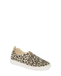 Brown Leopard Canvas Slip-on Sneakers