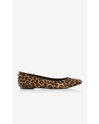 Express Leopard Print Pointed Toe Flat