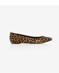Express Leopard Print Pointed Toe Flat