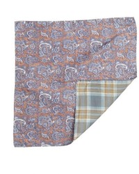 Daniel Dolce Blue And Brown Paisley Silk Blend Reversible Pocket Square