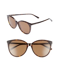 Bottega Veneta 55mm Cat Eye Sunglasses