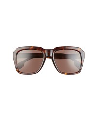 Burberry 55mm Oversize Square Sunglasses In Dark Havanadark Brown At Nordstrom