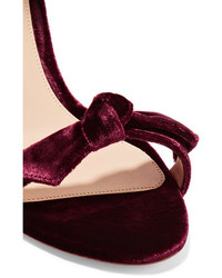 Alexandre Birman Clarita Bow Embellished Velvet Sandals Burgundy
