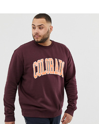 New Look Plus Sweat With Colorado In Burgundy