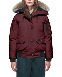 Canada Goose Chilliwack Hooded Down Bomber Jacket With Genuine Coyote