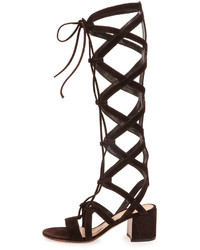 Gianvito Rossi Knee High Cutout Gladiator Sandal