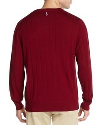 Tailorbyrd Wool V Neck Sweater