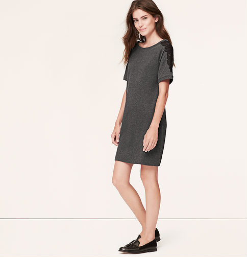 petite sweatshirt dress