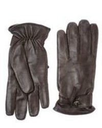 Alpo Gloves