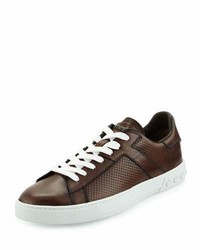 Tod's Perforated Leather Low Top Sport Sneaker Cacao