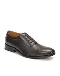 Carlington Oxford Brown Dark Smart Formal Shoes