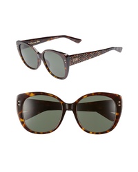 Dark Brown Studded Sunglasses