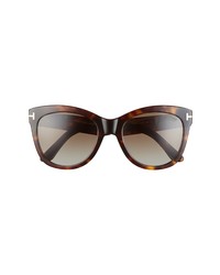 Tom Ford 54mm Gradient Cat Eye Sunglasses
