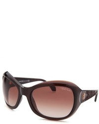 Roberto Cavalli Aldhibah Cat Eye Dark Brown Translucent Sunglasses
