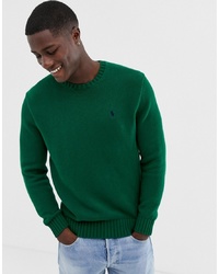 Polo Ralph Lauren Chunky Cotton Knit Jumper With Crew Neck In Green