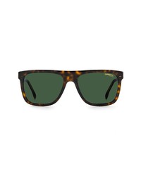 Carrera Eyewear 56mm Rectangular Sunglasses In Havana Green At Nordstrom