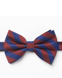 Adult Espn College Gameday Neckwear Wide Striped Pretied Bow Tie