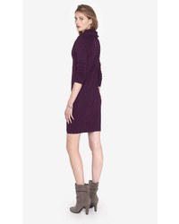 Express Currant Cowl Neck Sweater Dress