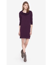 Express Currant Cowl Neck Sweater Dress
