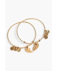 Alex and Ani Charity By Design Best Friends Adjustable Wire Bangles