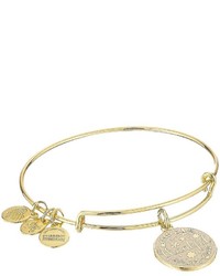 Alex and Ani Words Are Powerful Thankful Bangle Bracelet
